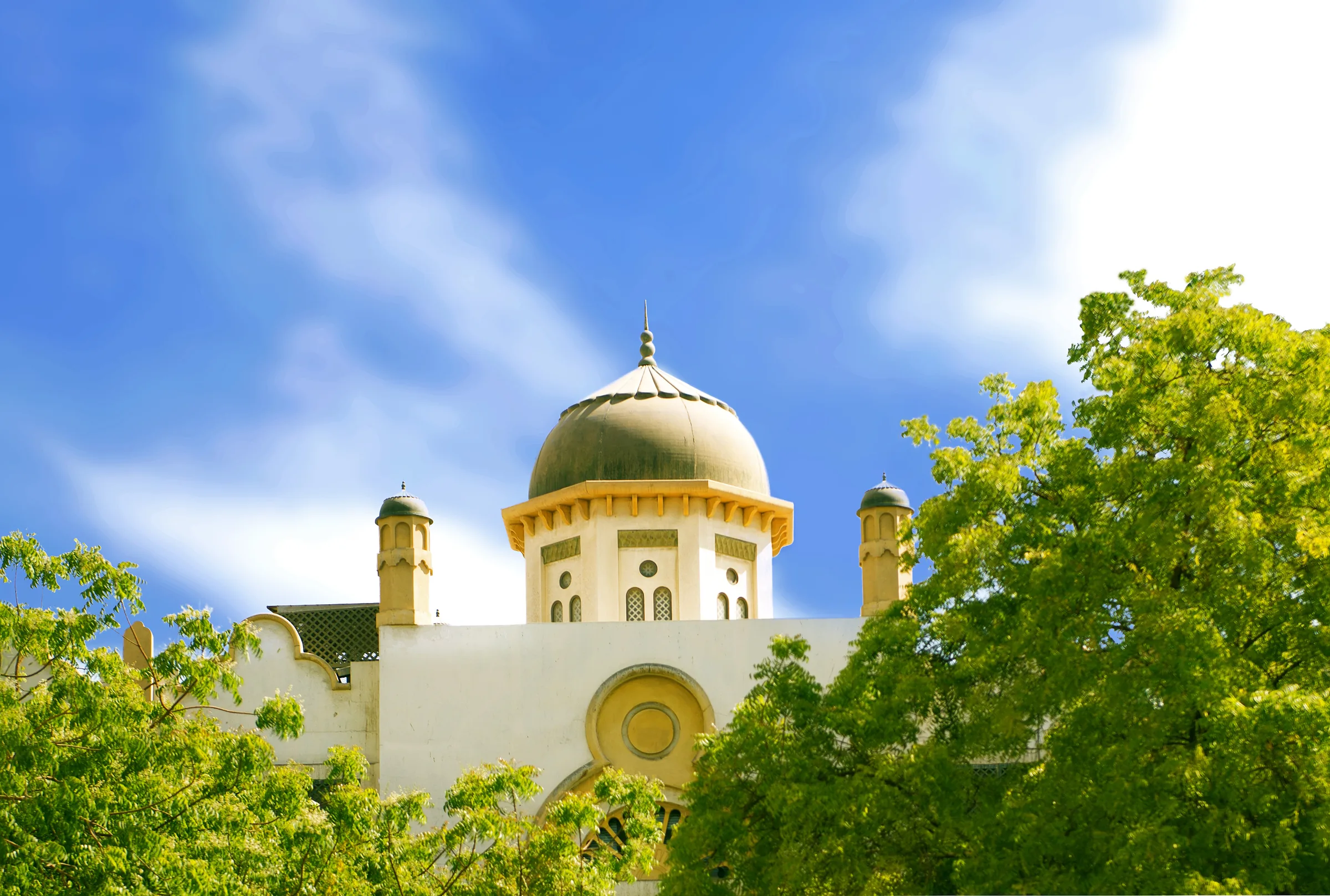 Al Falah Schools Campus — 4